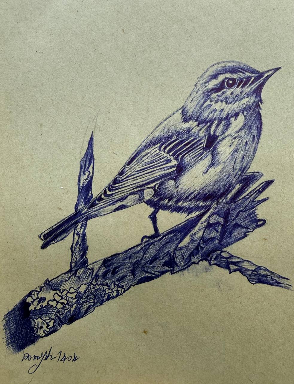 آموزش نقاشی سیاه قلم سمیه طالبی